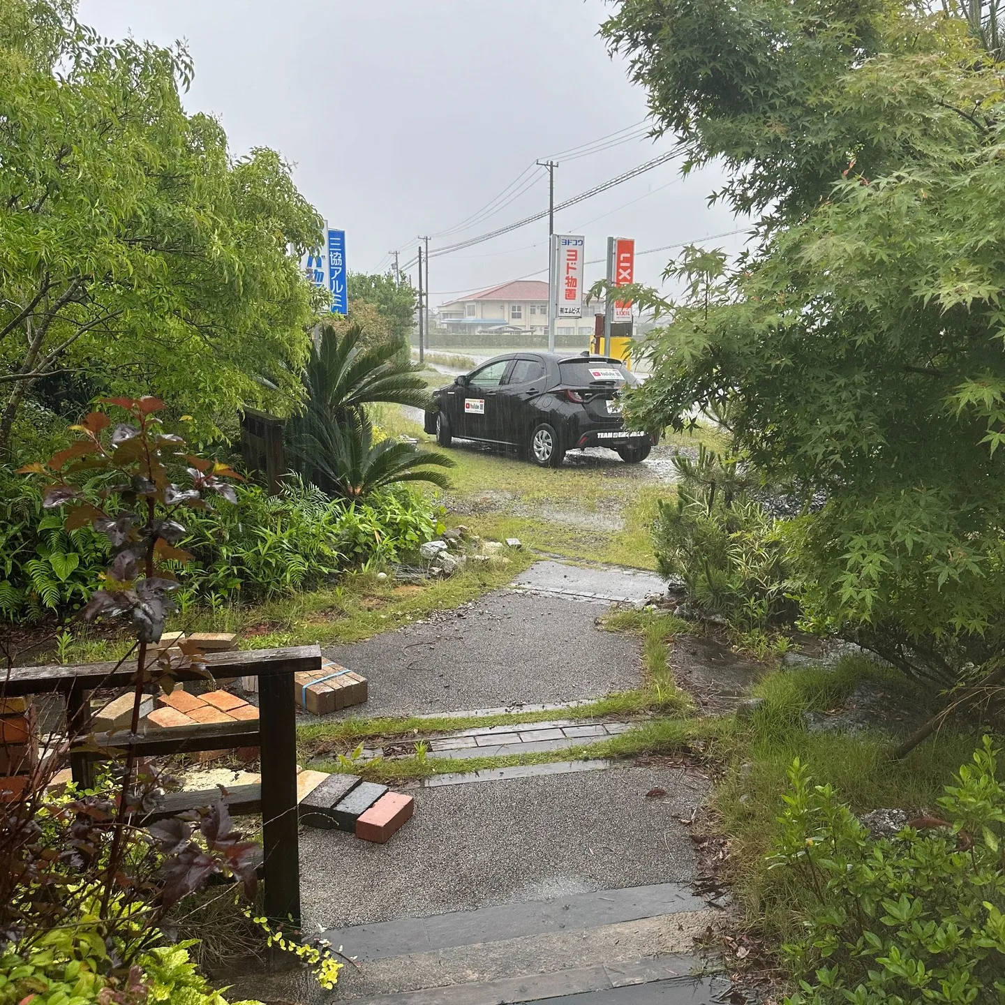 朝から土砂降り❗