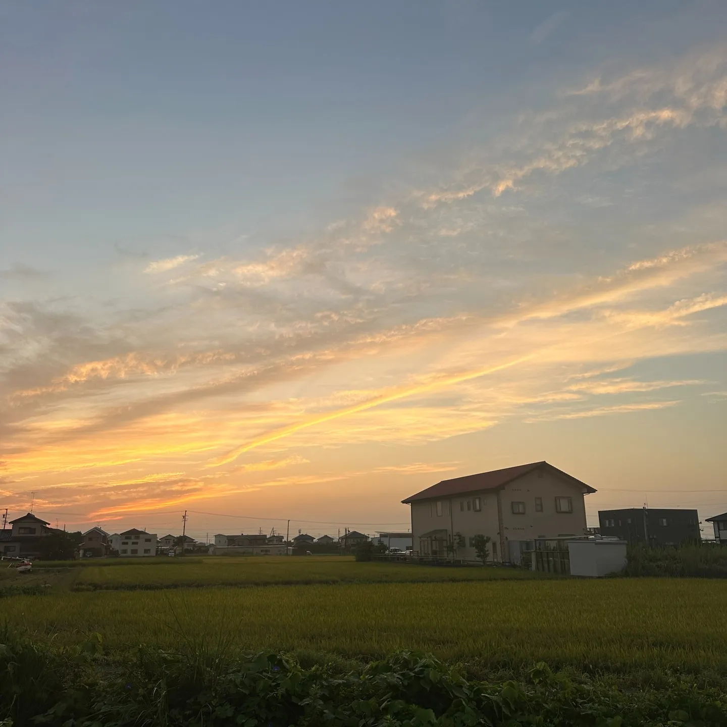 本日も早朝から絶好調のマツジン社長でございます😁