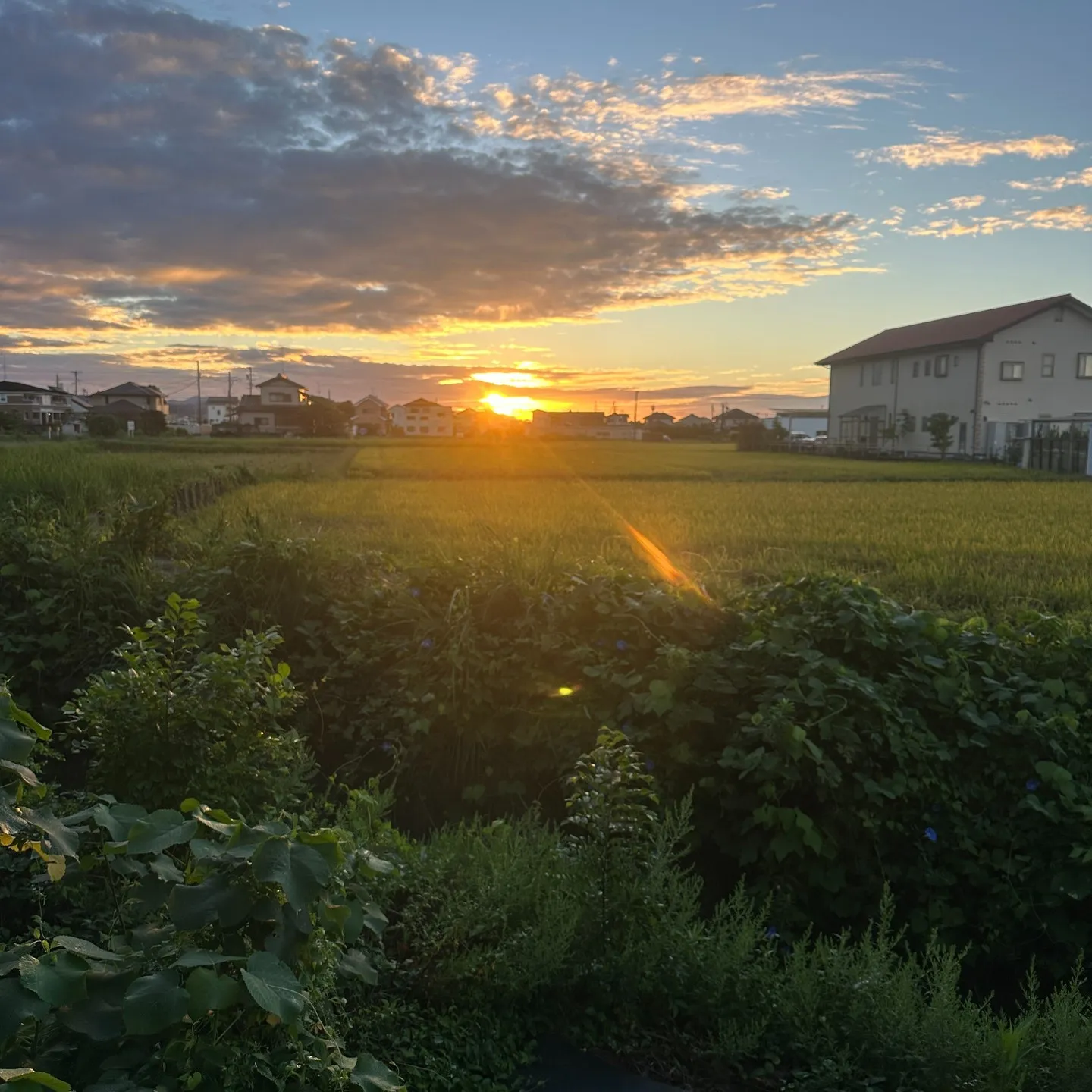 本日の浜松のお天道様😊