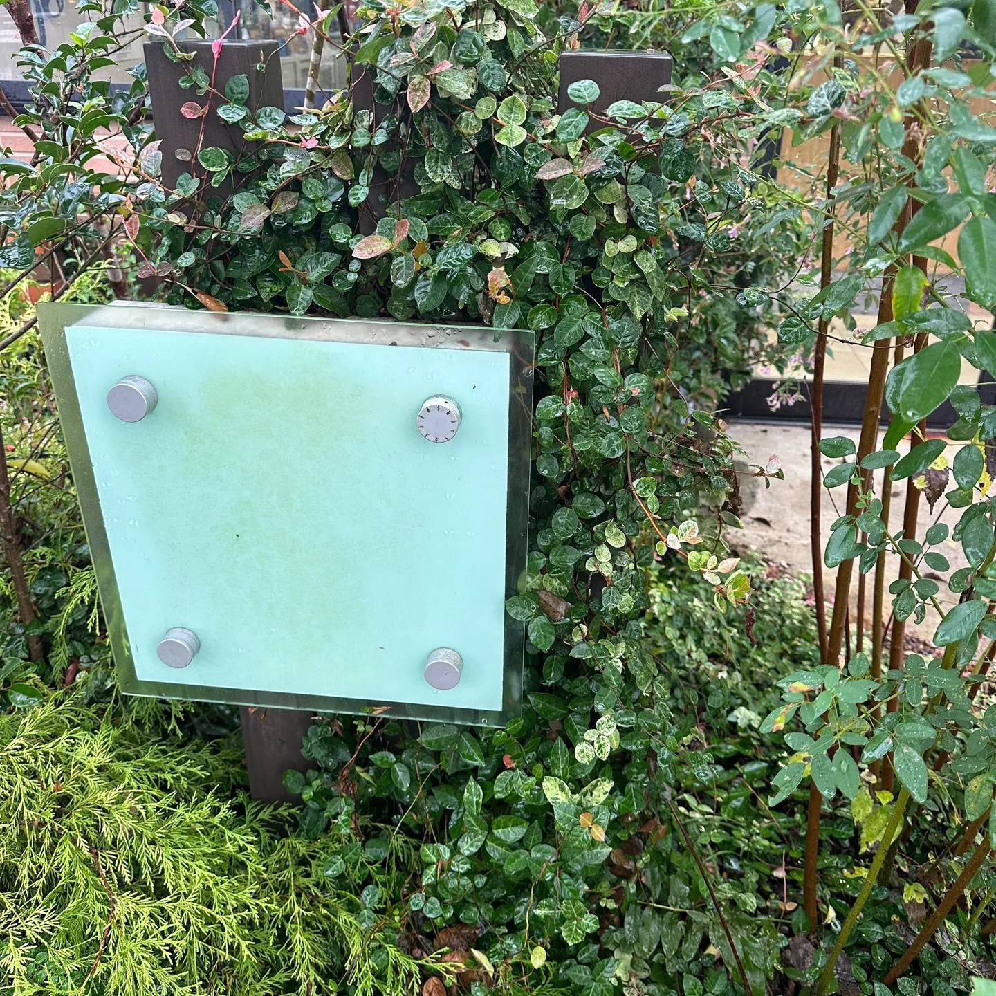 本日も朝から雨🖐️が❗しかし😊