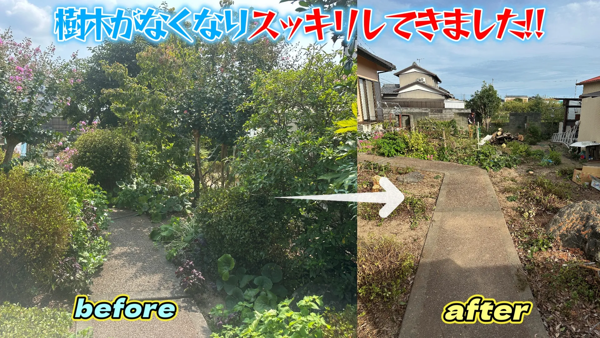 最近多い樹木伐採工事見積依頼🤲