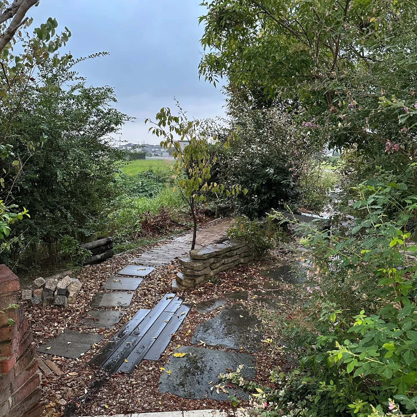 浜松は雨のスタートです🖐️🤗