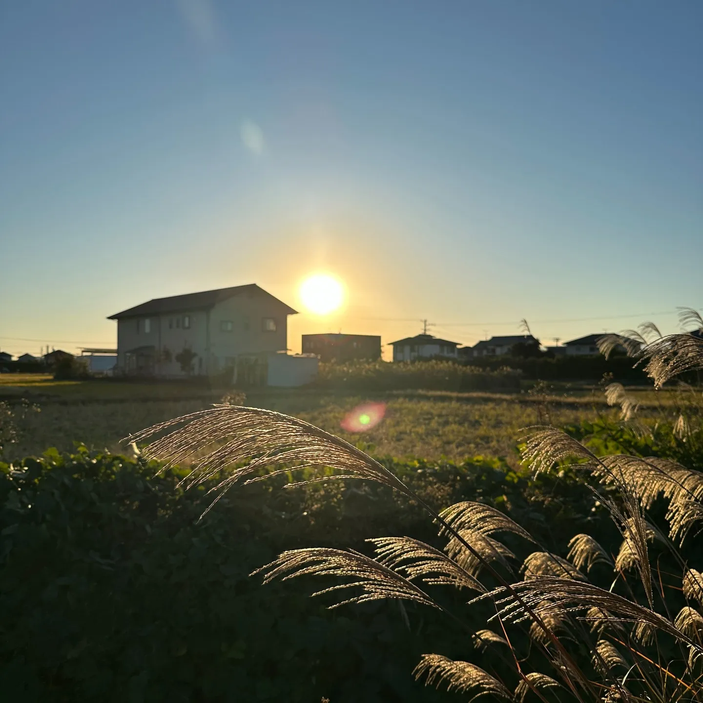 浜松事務所から見える🖐️本日のお天道様🥰