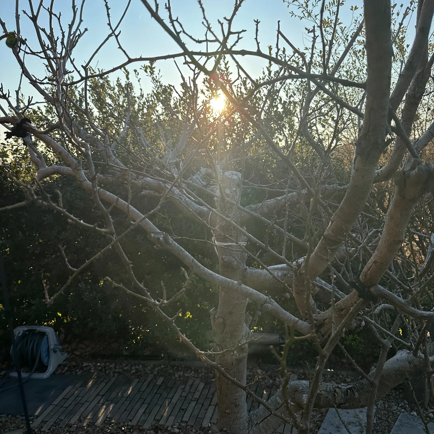 朝から最高🖐️毎日最幸😊のマツジン社長でございます❗😁