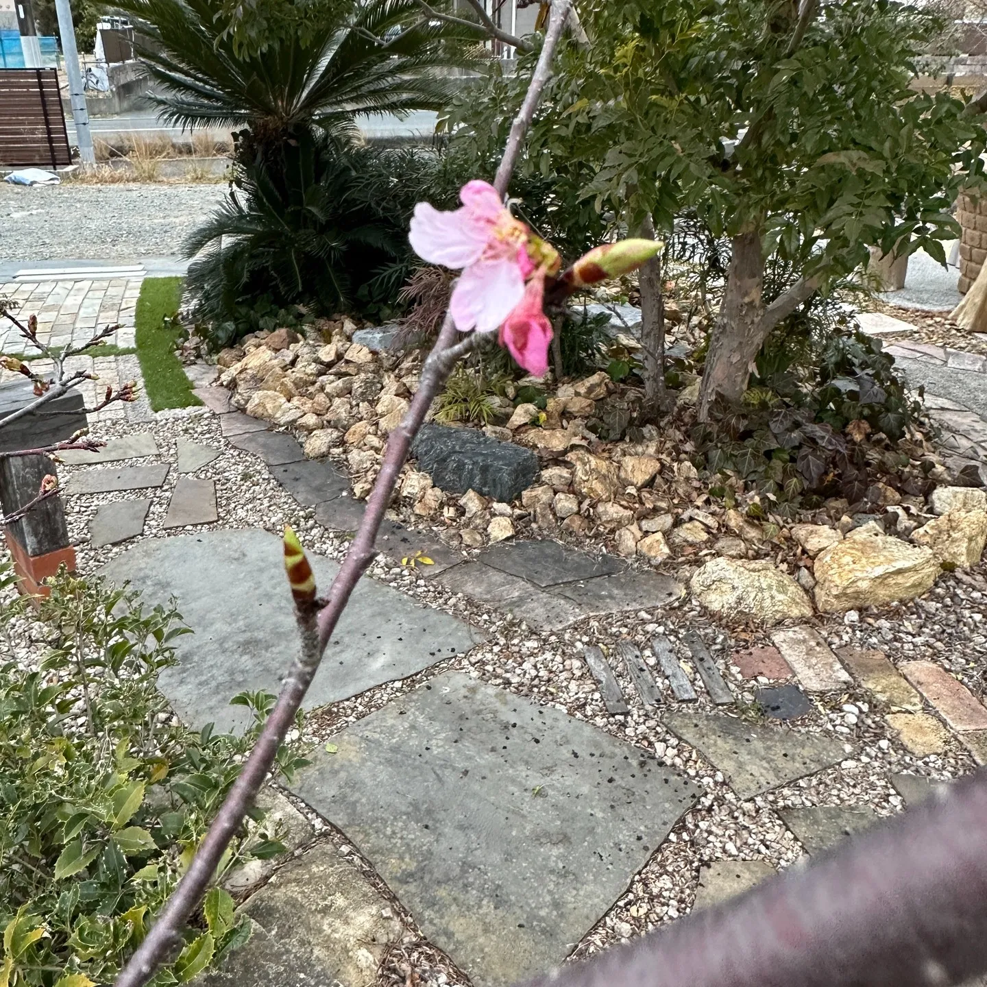 本日も早朝から絶好調過ぎるマツジン社長でございます✌️😁