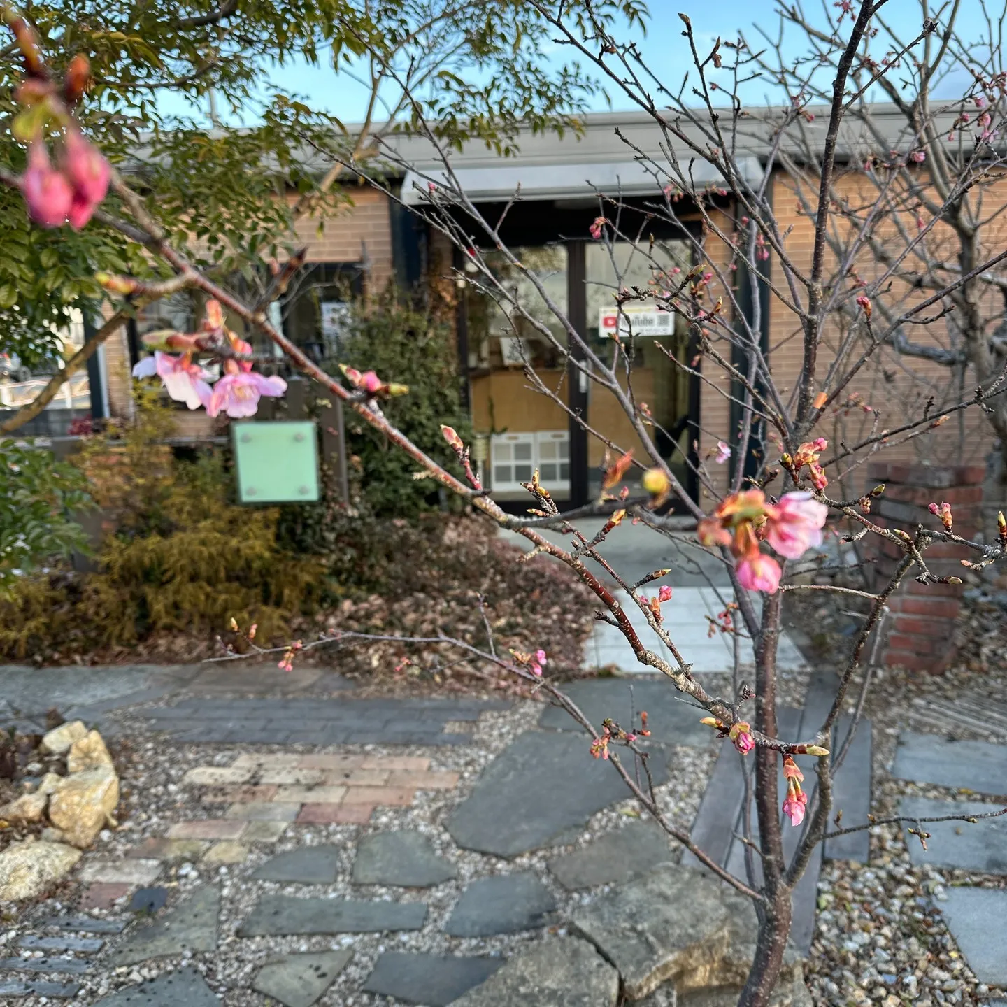 朝から絶好調のマツジン社長でございます👍😁