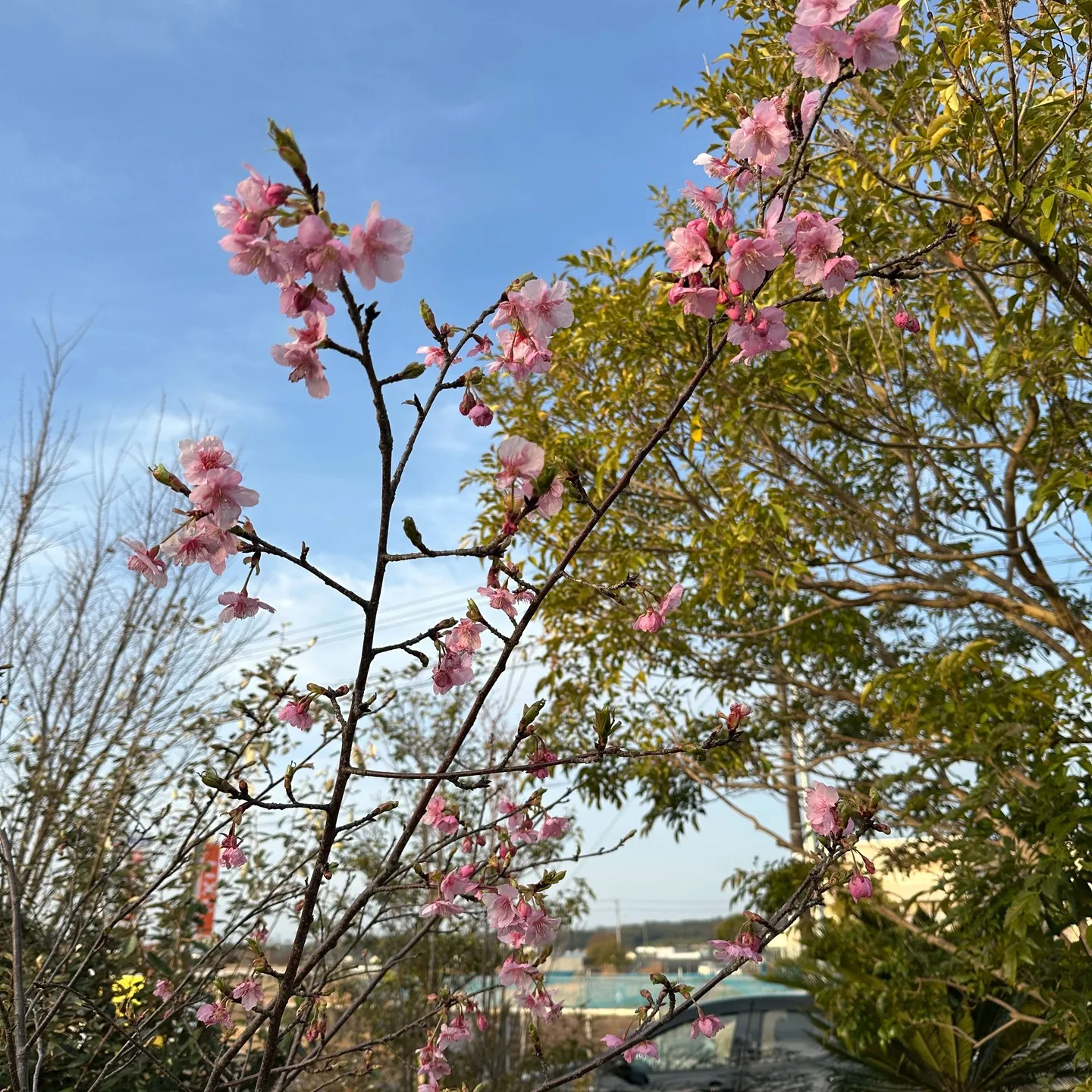 昨日の気温とはうって変わってちょっと冷え込んだあさの浜松🖐️