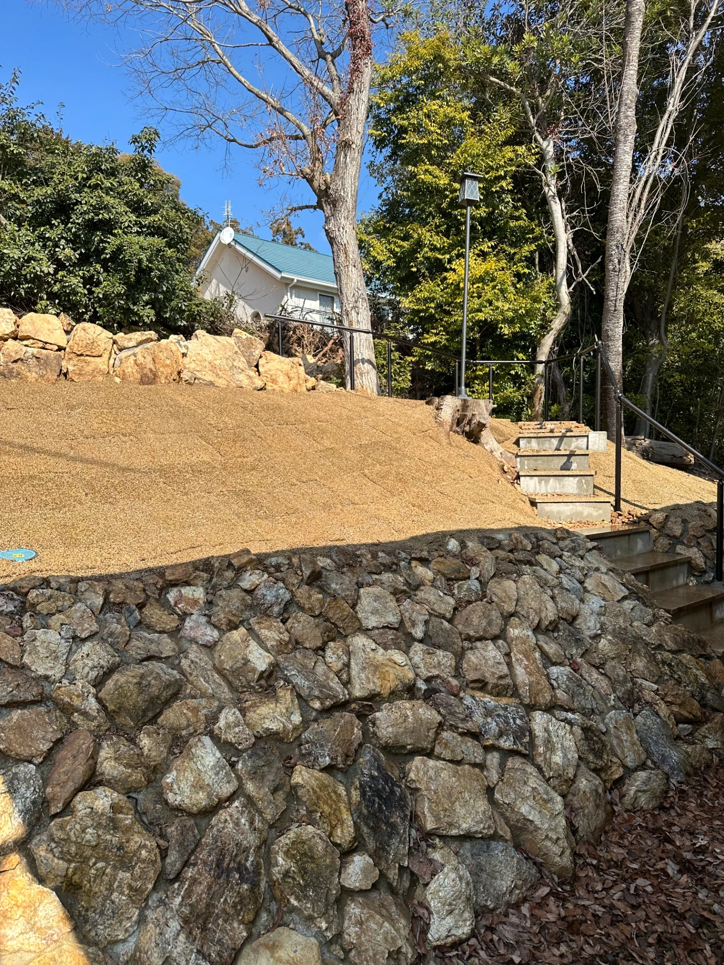 天然芝施工例