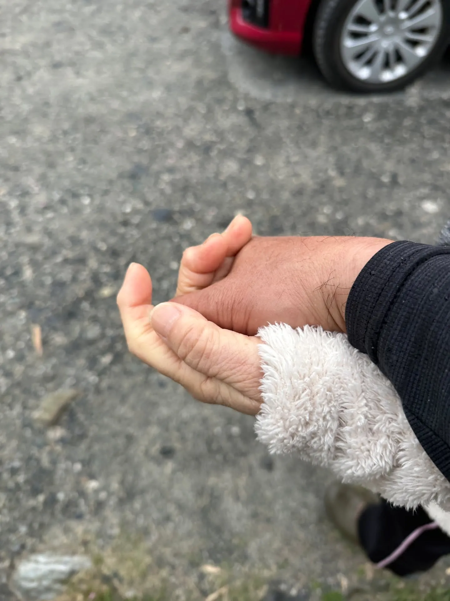 本日は出張のため🖐️live配信日よりも30分早起きして4月...