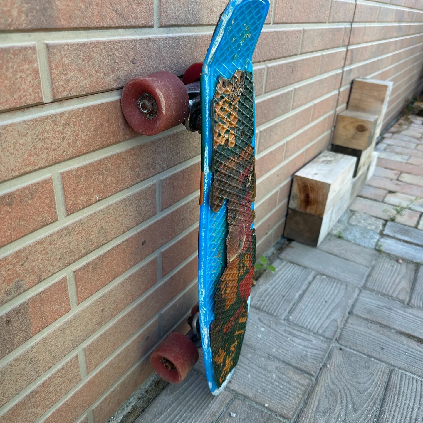 今日は晴れて清々しい天気でのスタートとなってる✌️