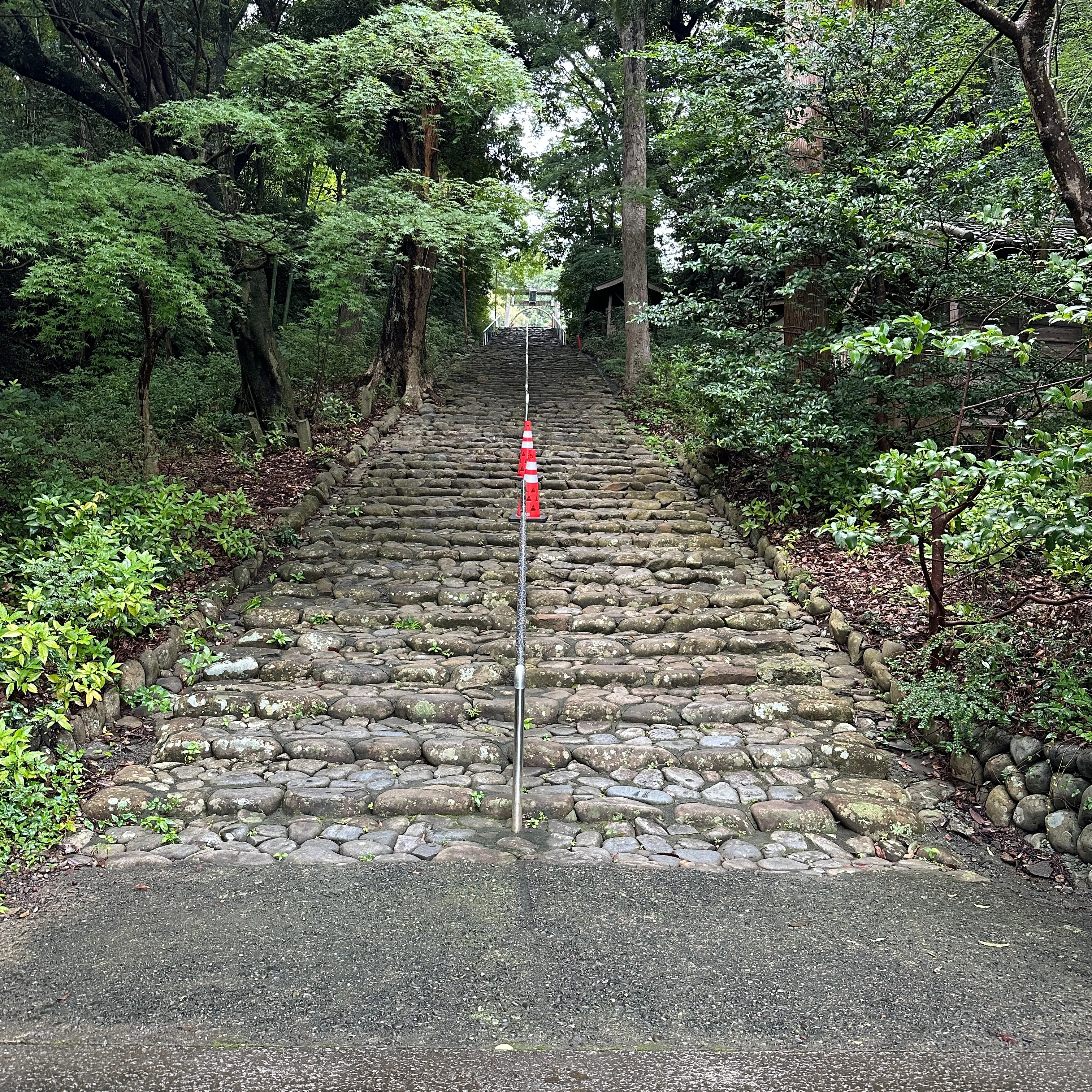 7月7日🖐️本日は一粒万倍日❗