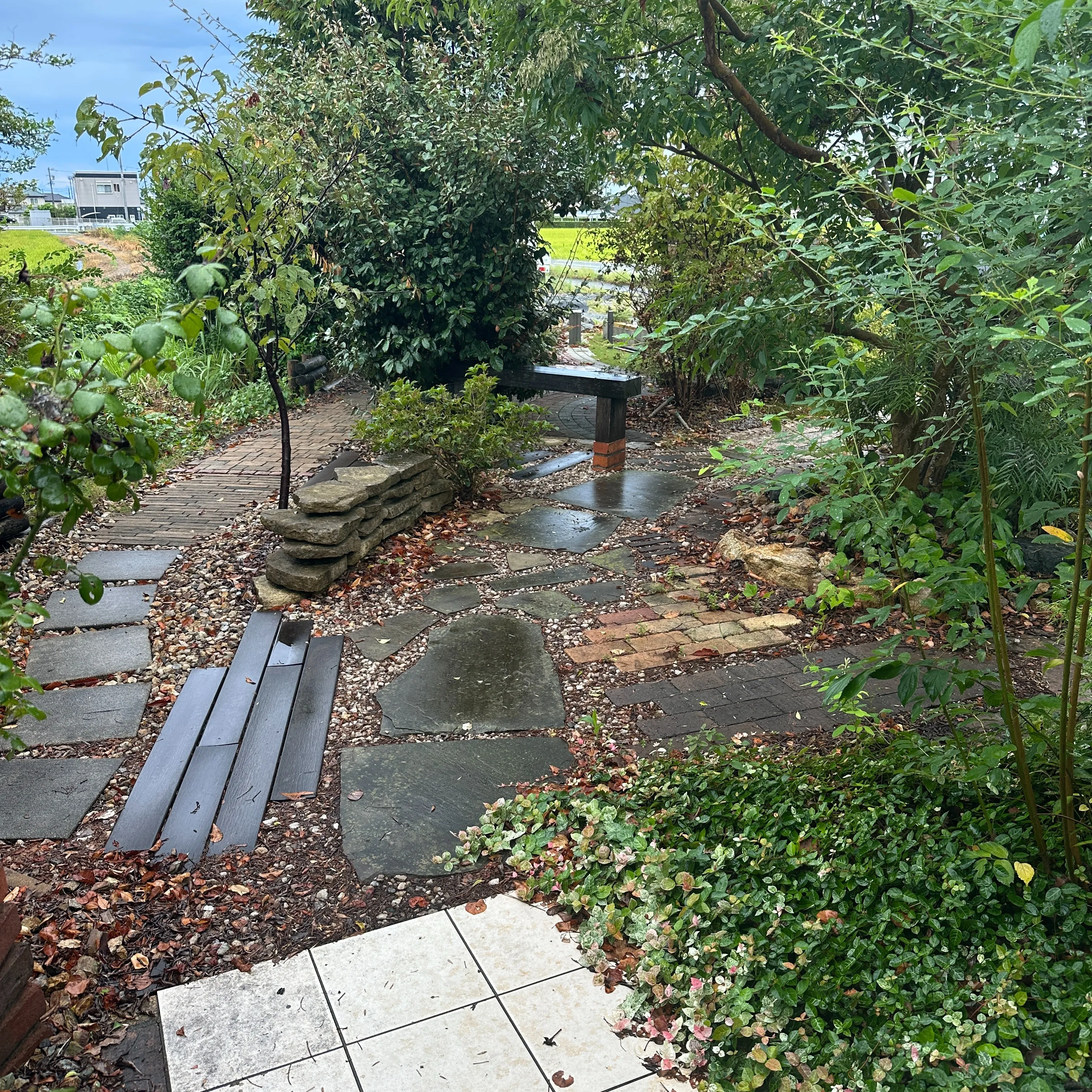 今日は朝から恵みの雨👍😊