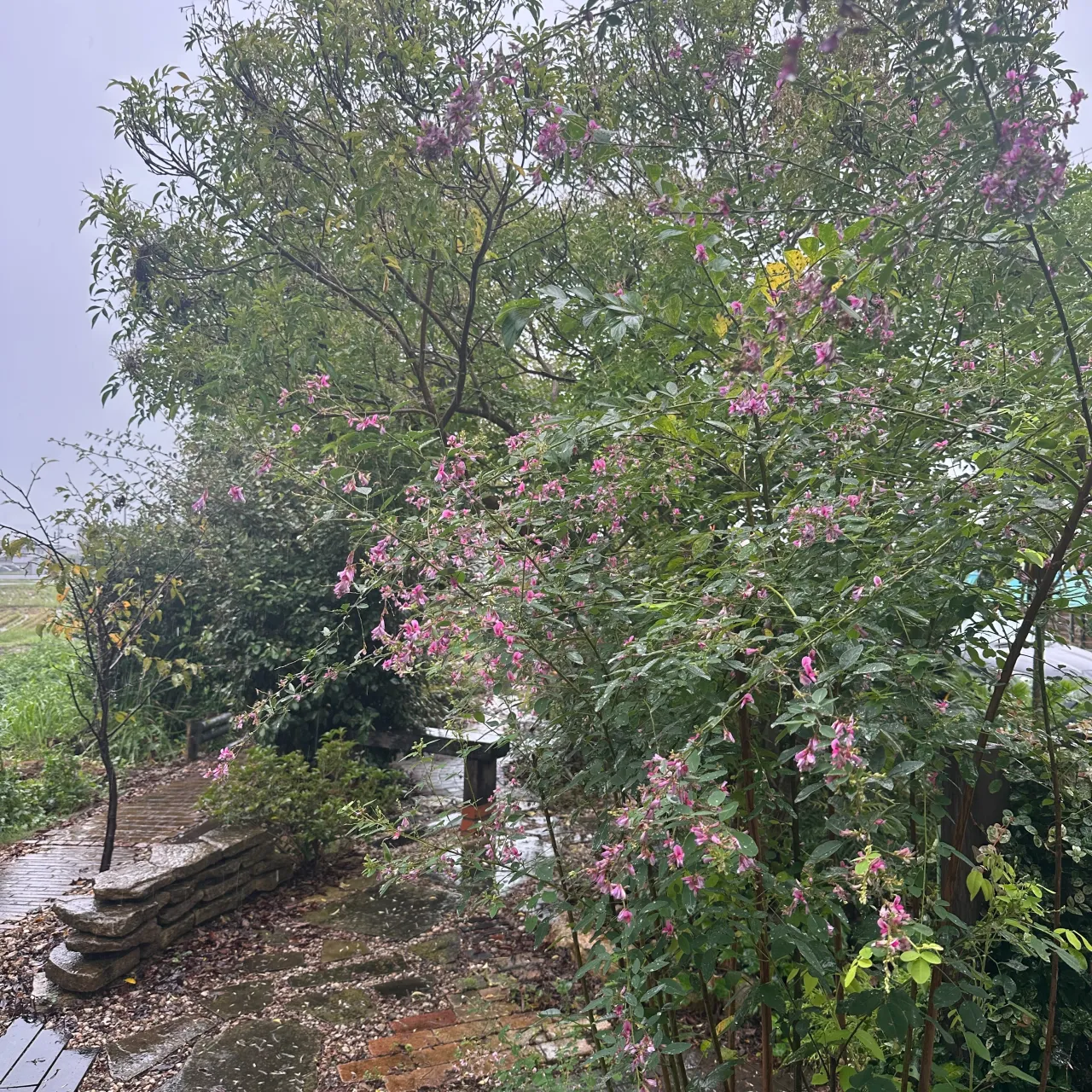 雨が降ろうと☂️朝から最高🖐️毎日最幸✌️のマツジン社長でご...