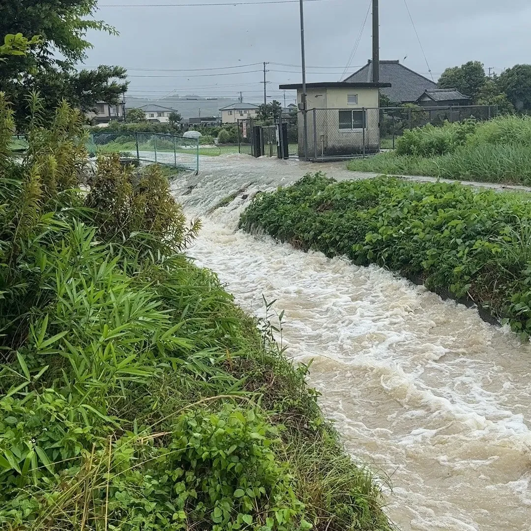 用水路も氾濫😆