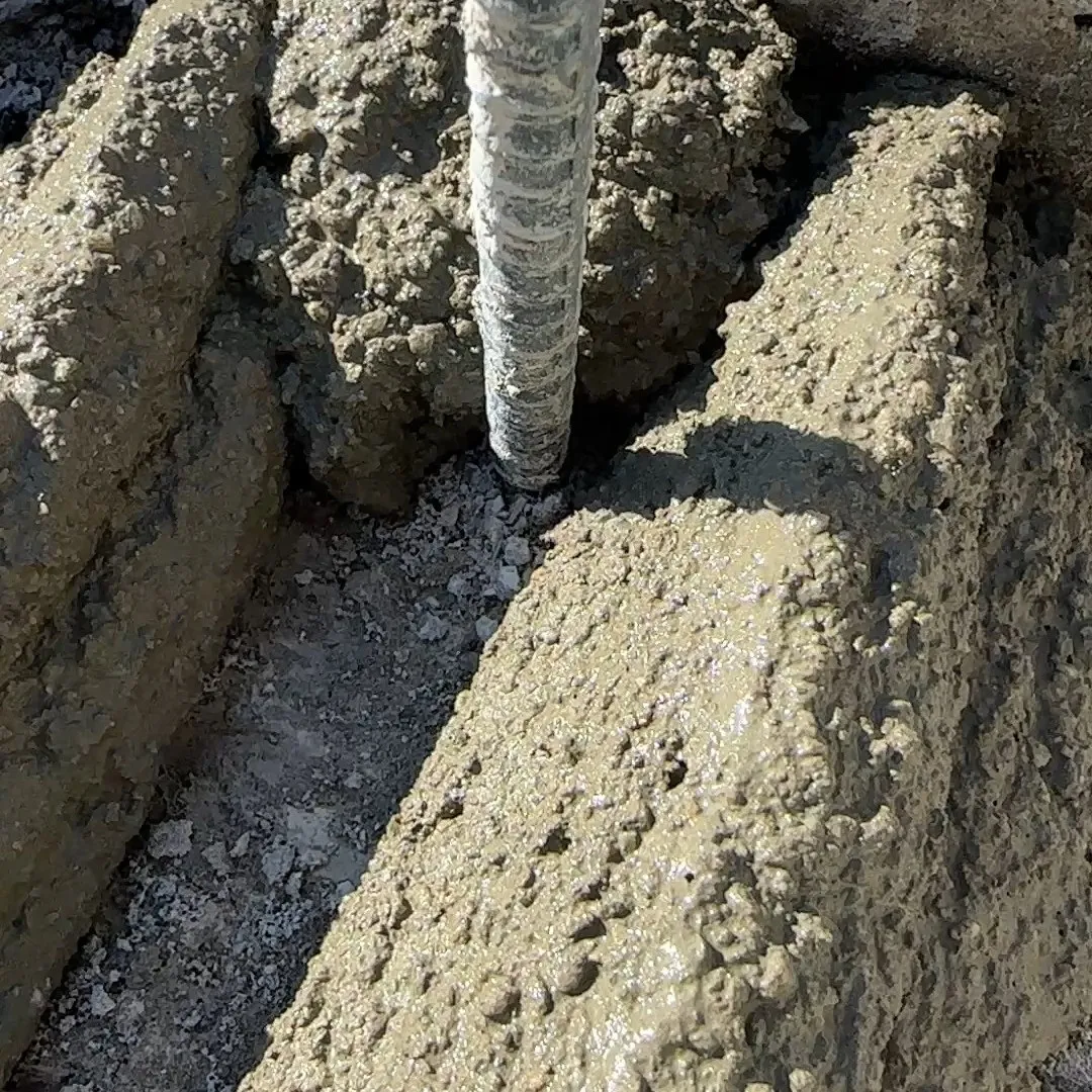 今日の浜松は朝は寒かったが🖐️日中は動けば暑い日となってる😊